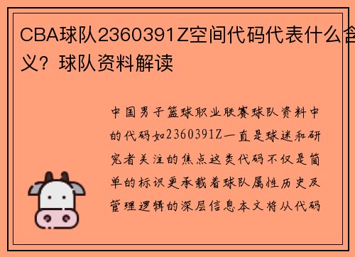 CBA球队2360391Z空间代码代表什么含义？球队资料解读